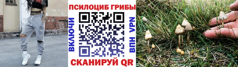 Галлюциногенные грибы прущие грибы  Купить где  Болхов 